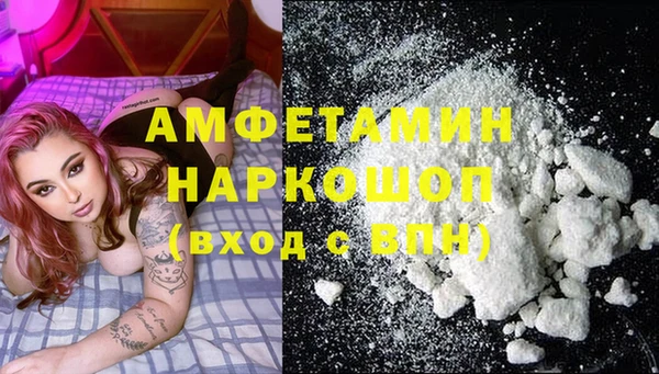 твердый Алексин