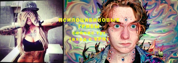 кокс Алексеевка