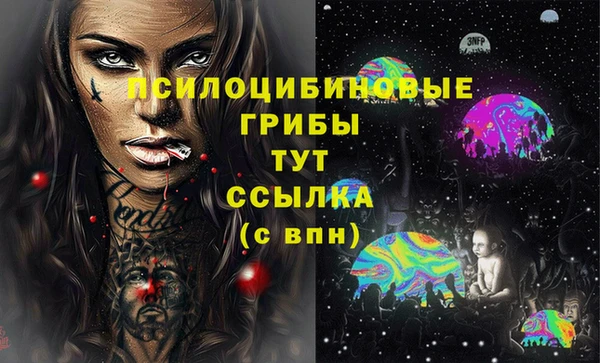 дживик Алзамай