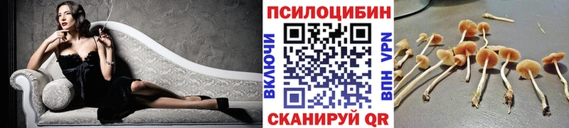 Псилоцибиновые грибы Magic Shrooms  наркошоп  Чадан 